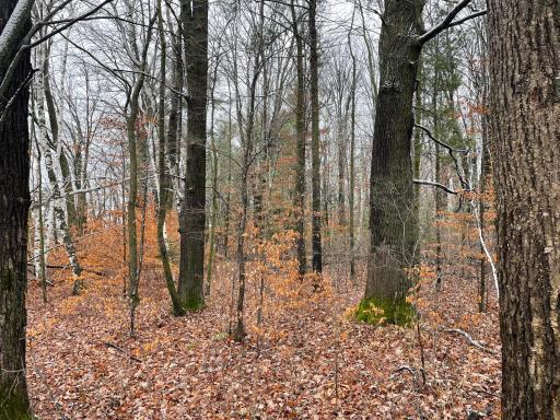 16151 Two Creek Road, Brook Park, MN 55007