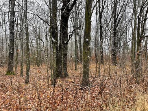 16151 Two Creek Road, Brook Park, MN 55007