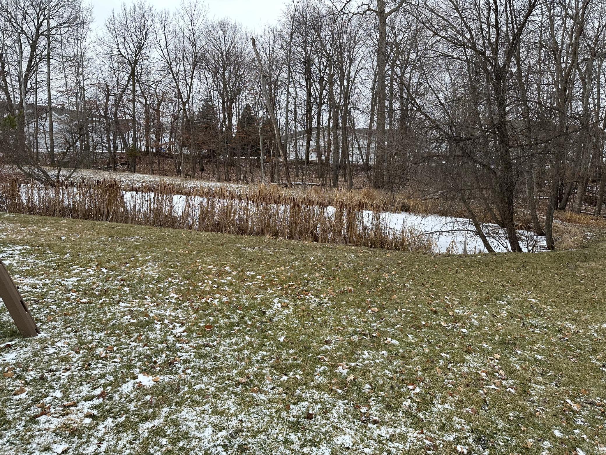 Backyard 3.jpg