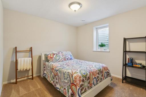 Bedroom 5 in basement with large walk in closet.