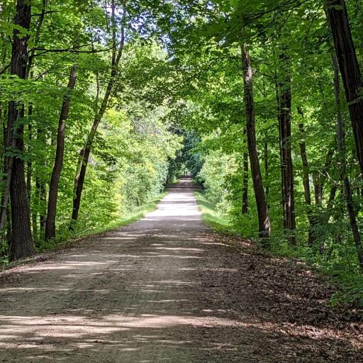 Beautiful trails for walking, biking, running!