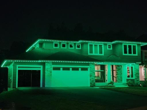 Exterior "JellyFish" LED Lighting - Green