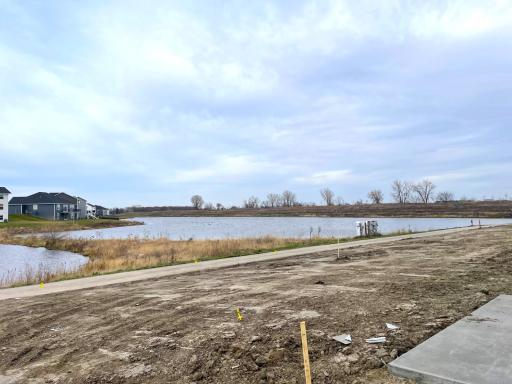 This is the view from the backyard. Imagine waking up to this view! Progress picture 11.14.23