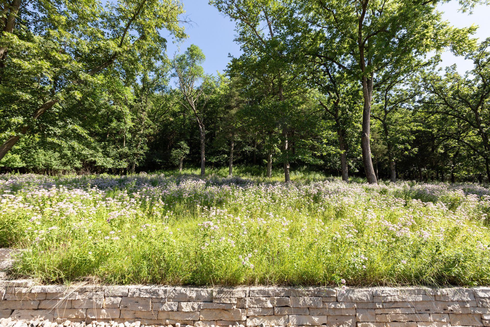 A restored prairie for the pollinators