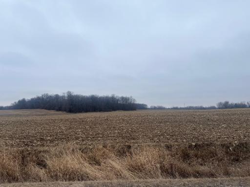 XXX CSAH 3, Grove City, MN 56243