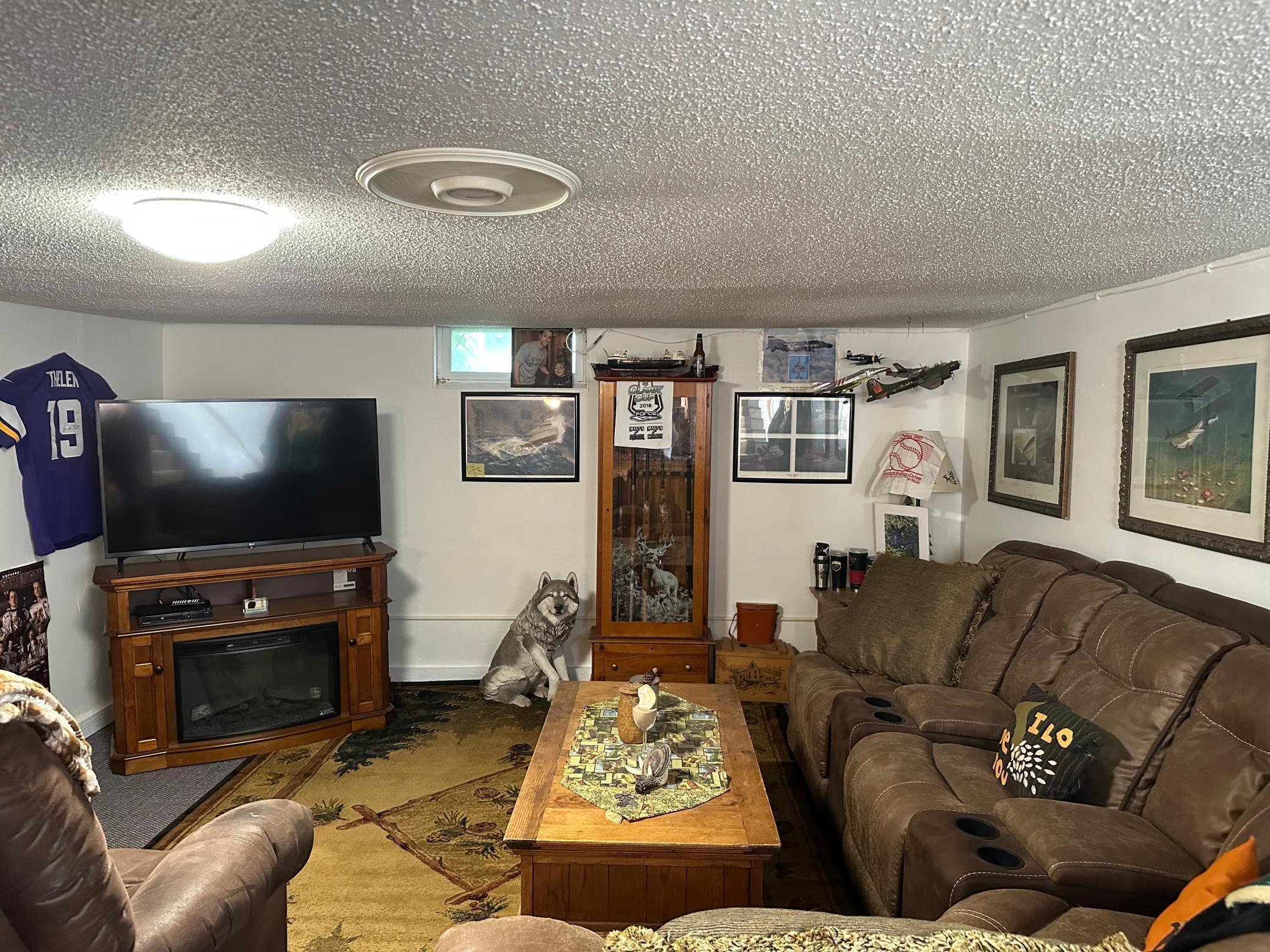 Family room lower.jpg