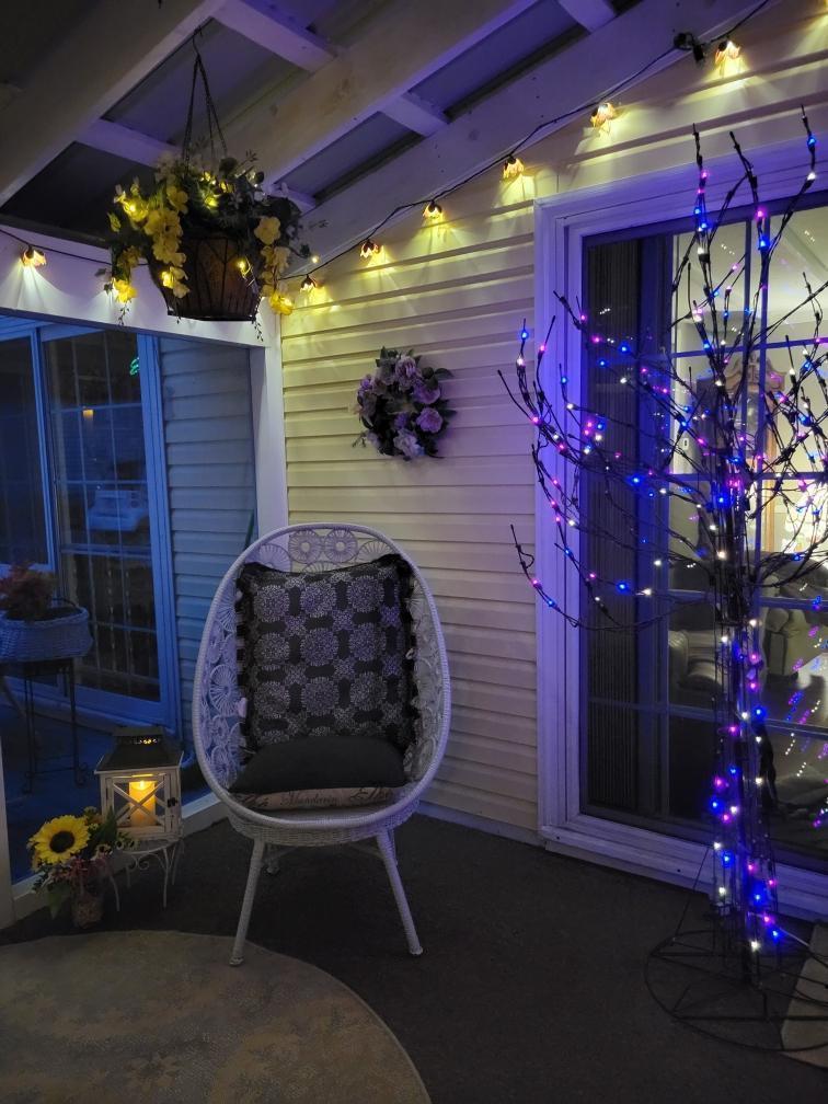 Screened in porch.jpeg