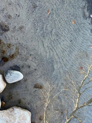 Sandy lakeshore!!