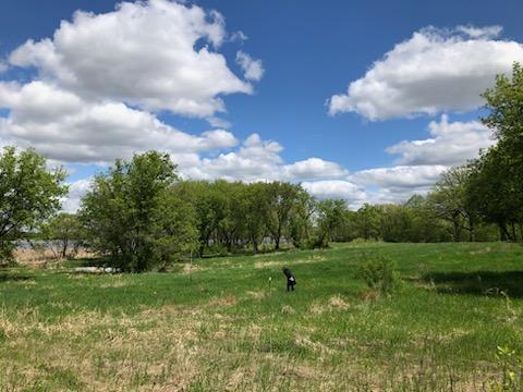 2800 Parkview Drive, Medina, MN 55340