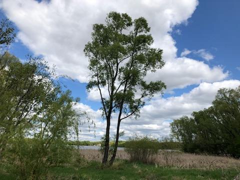 2850 Parkview Drive, Medina, MN 55340