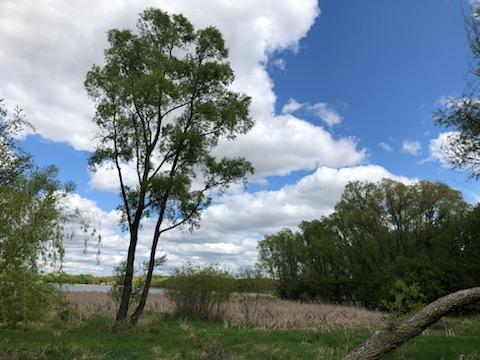 2850 Parkview Drive, Medina, MN 55340