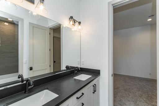1548 Shannon Oaks Boulevard NE, Rochester, MN 55906