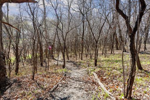 Private nature trail provides access to the docks