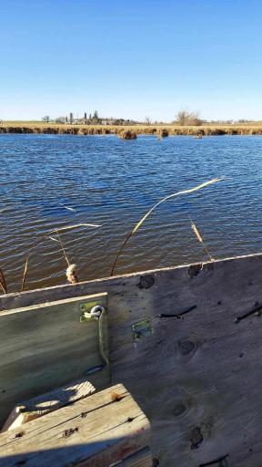 View of Freeport Lake