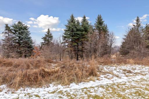 5653 Garden Drive, Woodbury, MN 55129