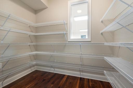 Walk in pantry with window overlooking the sport court