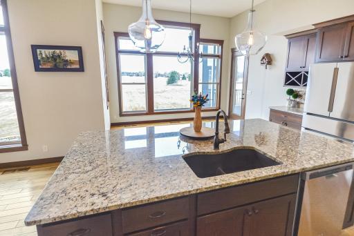 Center island sink views of the expansive backlawn.