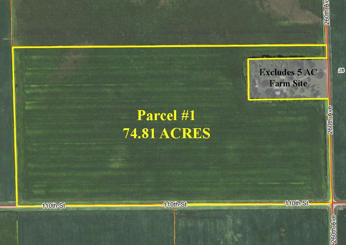 Airal Picture Master.jpg