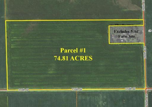 Airal Picture Master.jpg