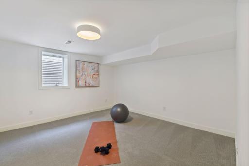 Lower Level Guest Bedroom