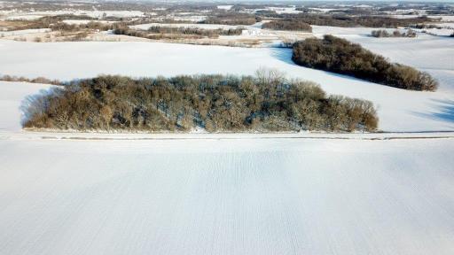 XXX 215th St., Dassel, MN 55325