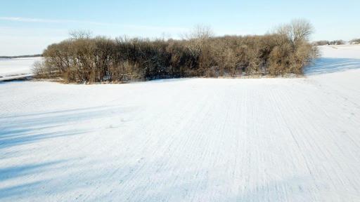 XXX 215th St., Dassel, MN 55325