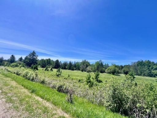 TBD Gopher Drive, Cook, MN 55723