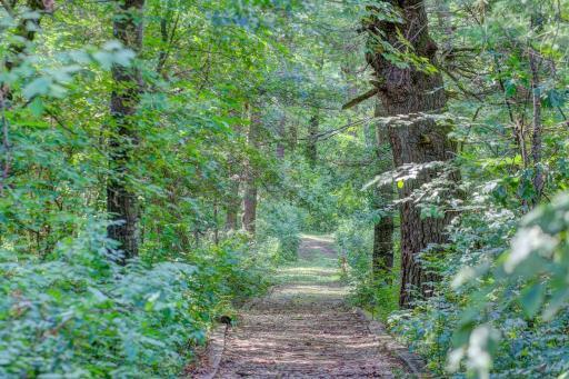 wooded pathway