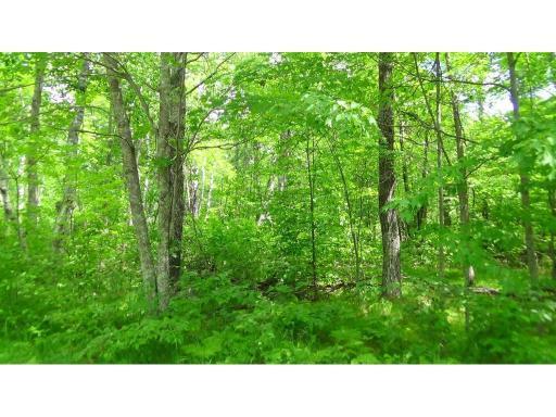 LOT 3 Bonnie Lakes Road, Crosslake, MN 56442