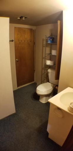 Basement Bathroom.jpg