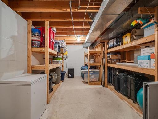 Expansive basement storage room, with built-in shelving. (Freezer does not stay).