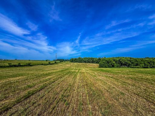 Photo for xxxx Hill Street SW, Chatfield, MN 55923 - Listing #6485177 xxxx Hill Street SW, Chatfield, MN 55923