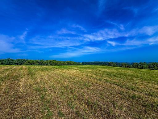 Photo for xxxx Hill Street SW, Chatfield, MN 55923 - Listing #6485177 xxxx Hill Street SW, Chatfield, MN 55923