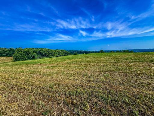 Photo for xxxx Hill Street SW, Chatfield, MN 55923 - Listing #6485177 xxxx Hill Street SW, Chatfield, MN 55923