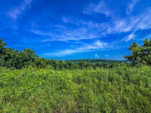 Photo for xxxx Hill Street SW, Chatfield, MN 55923 - Listing #6485177 xxxx Hill Street SW, Chatfield, MN 55923