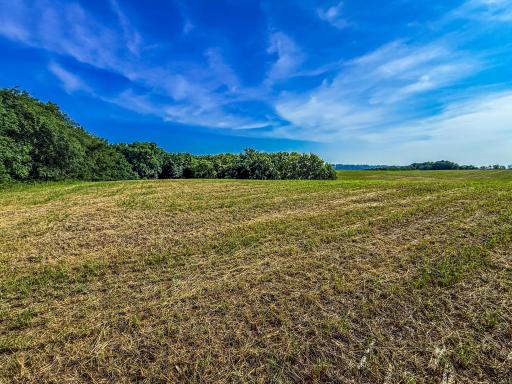 Photo for xxxx Hill Street SW, Chatfield, MN 55923 - Listing #6485177 xxxx Hill Street SW, Chatfield, MN 55923