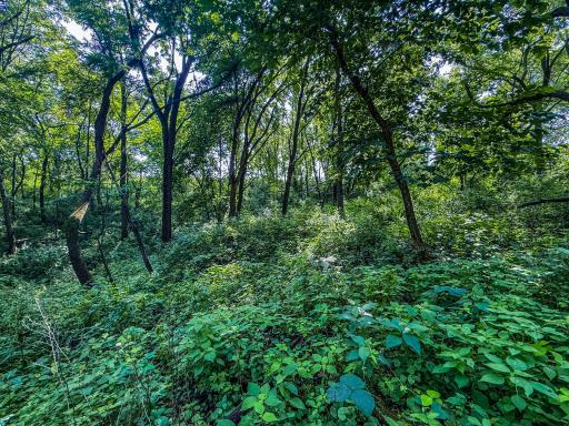Photo for xxxx Hill Street SW, Chatfield, MN 55923 - Listing #6485177 xxxx Hill Street SW, Chatfield, MN 55923