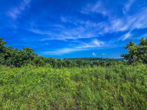 xxxx Hill Street SW, Chatfield, MN 55923