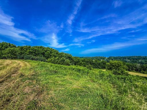 xxxx Hill Street SW, Chatfield, MN 55923