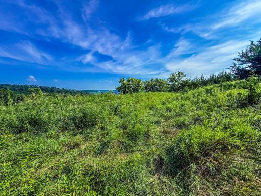 xxxx Hill Street SW, Chatfield, MN 55923