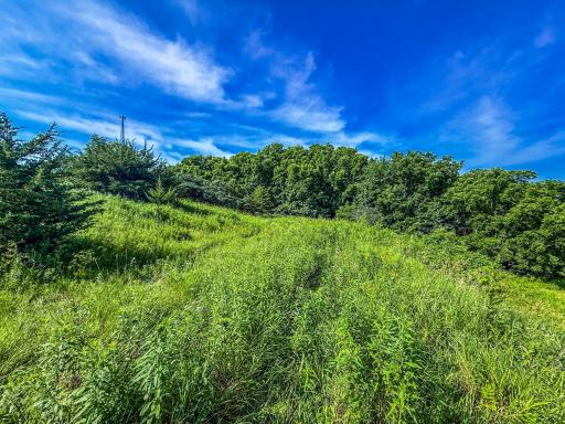 xxxx Hill Street SW, Chatfield, MN 55923