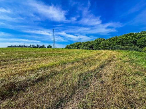 xxxx Hill Street SW, Chatfield, MN 55923