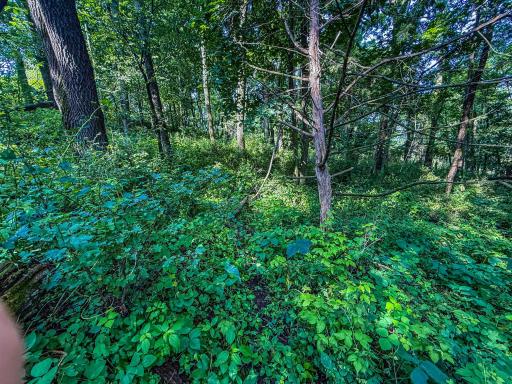 xxxx Hill Street SW, Chatfield, MN 55923