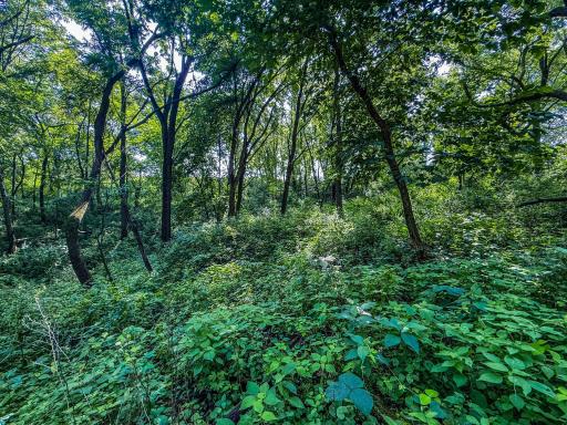 xxxx Hill Street SW, Chatfield, MN 55923