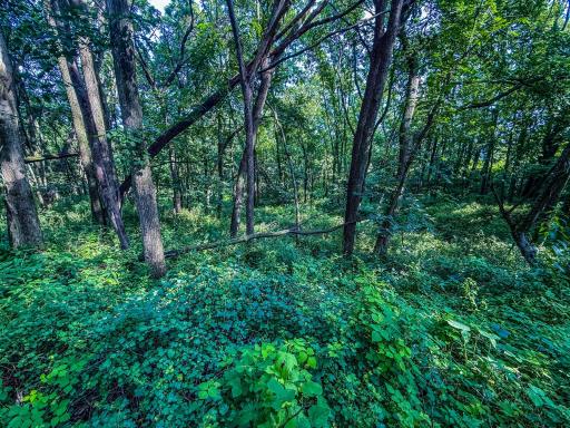 xxxx Hill Street SW, Chatfield, MN 55923