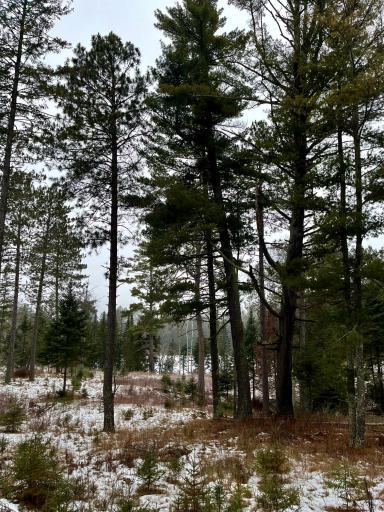 45683 Big Balsam Camp Road, Bovey, MN 55709