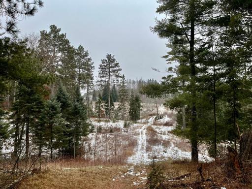 45683 Big Balsam Camp Road, Bovey, MN 55709