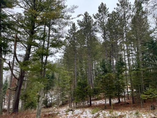 45683 Big Balsam Camp Road, Bovey, MN 55709