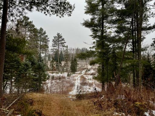 45683 Big Balsam Camp Road, Bovey, MN 55709