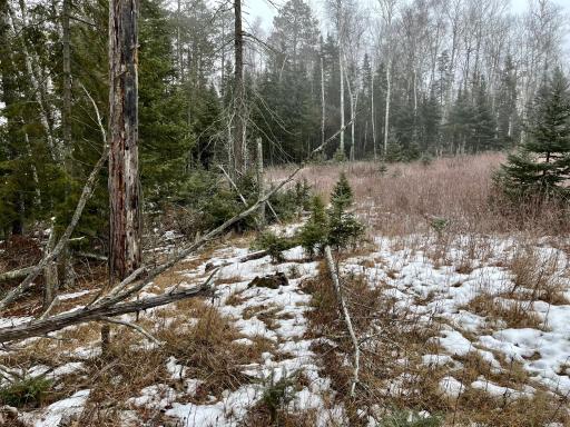 45683 Big Balsam Camp Road, Bovey, MN 55709